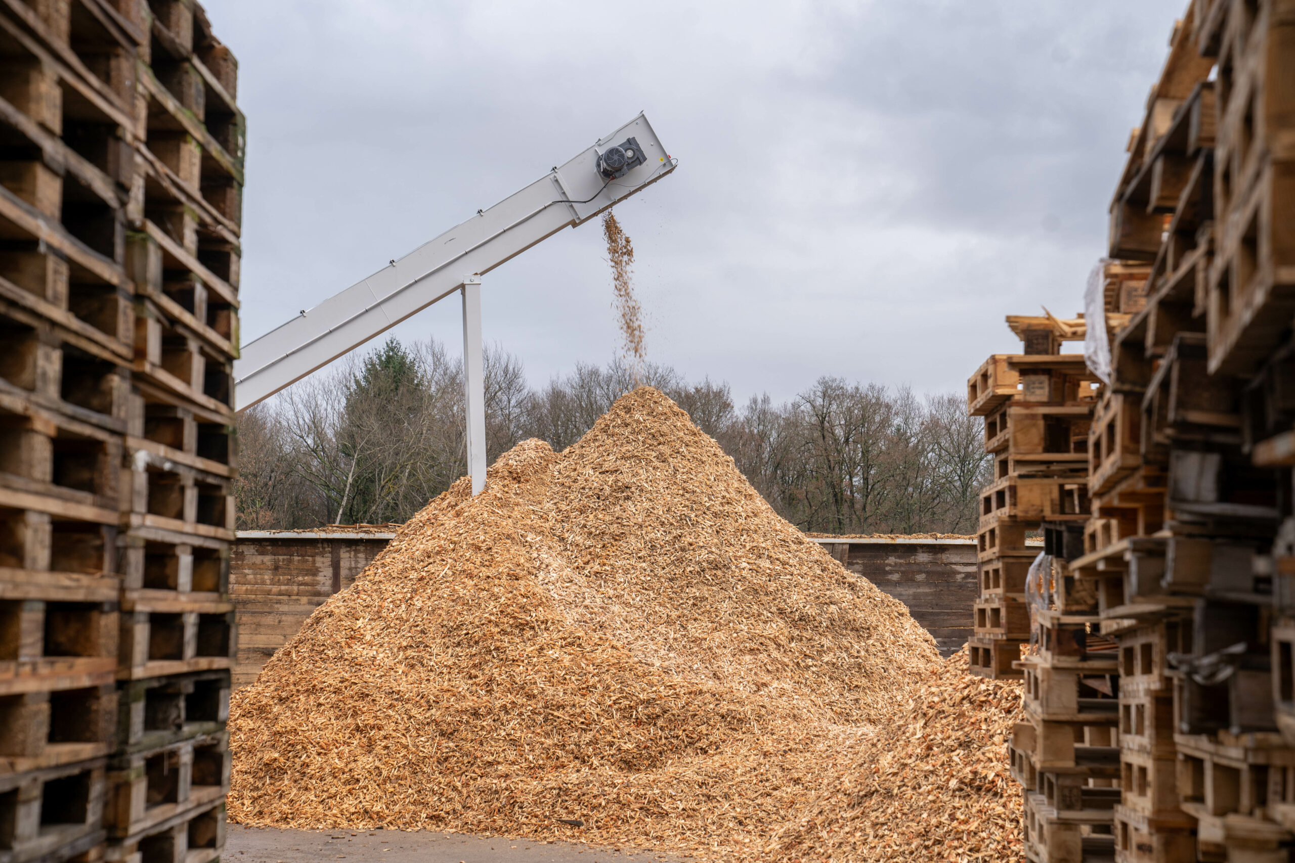 Destampes Emballages : Axe Environnemental